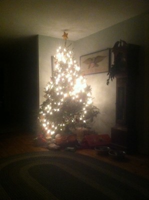 our christmas tree lit up