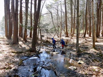 Harvey and Zion fording a spring creek