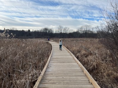Zion and Elijah running on a boardwalk into a marsh