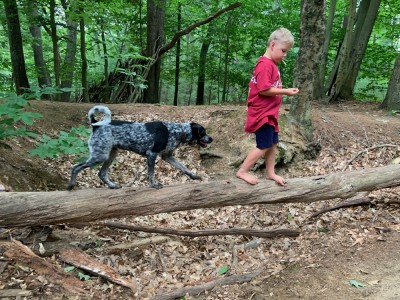 Zion and Blue walking across a log over a big depression