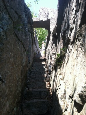 Harvey walking down stairs under a rock bridge