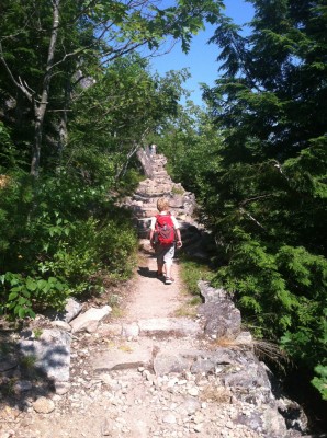 Harvey walking up a long series of stone steps on the trail