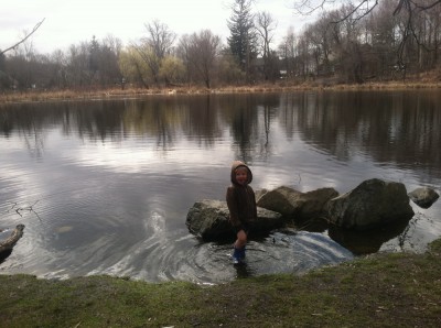 Zion wading in a pond