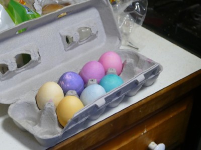 dyed Easter eggs in an egg carton