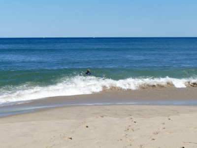 Harvey breasting a wave at Coast Guard Beach