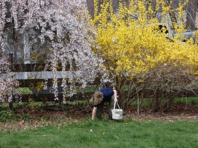 Zion picking up an easter egg in front of flowering bushes