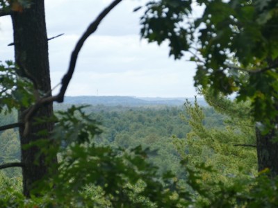 distant hills as seen through trees from atop Fairhaven Hill