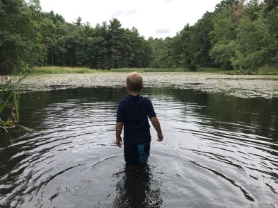 Zion wading in Fairyland Pond