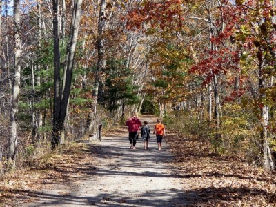the boys walking down a dirt road under fall trees