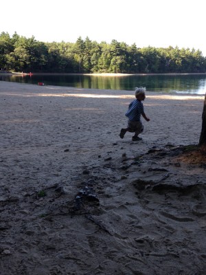 Zion running on the empty beach at Walden Pond