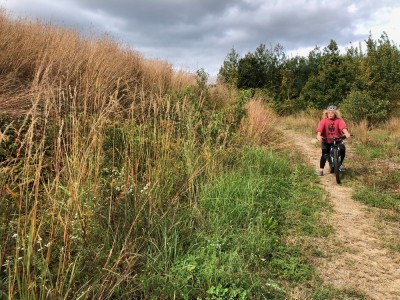 Harvey pausing on a bike ride on a trail passing tall grass