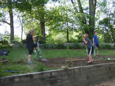 Zion, Elijah, and some friends removing grass with spade forks