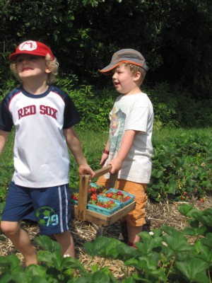 Harvey and Ollie carrying a tray of strawberries they picked