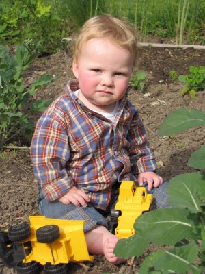 Harvey in the garden