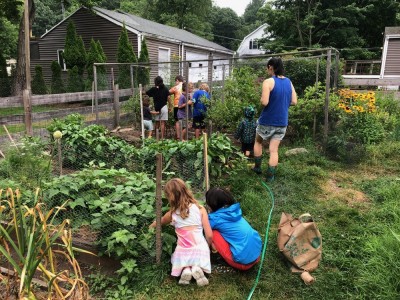 lots of kids at work in our garden picking beans and blueberries