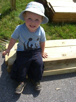 Harvey sitting on a pile of fence boards
