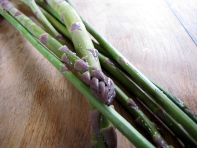 the first asparagus from our garden