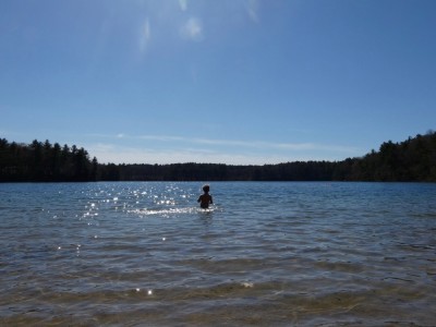 Elijah waist-deep in Walden Pond
