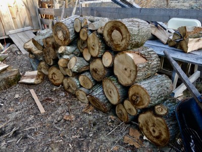 a woodpile of logs