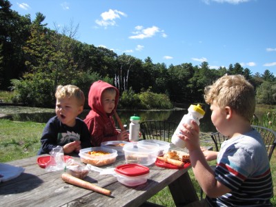 the boys eating a picnic lunch at a table by the pond