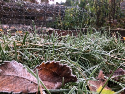 frost on the grass in the garden