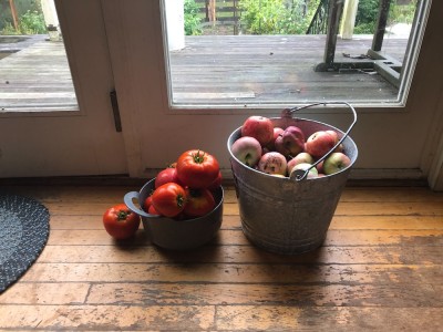 a bowl of tomatoes and a bucket of apples on out kitchen floor