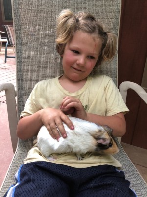 Elijah with a guinia pig on his lap
