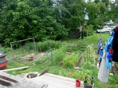 the garden on August 10