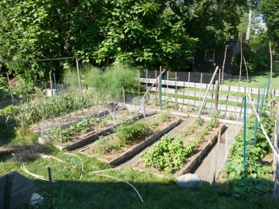 the main part of the garden on June 30