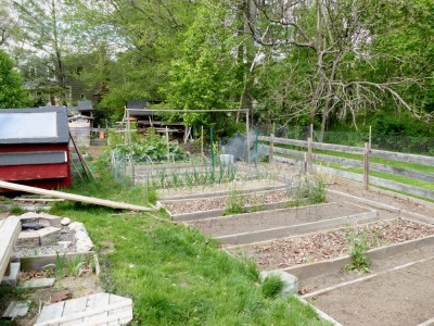 the main part of the garden on May 15
