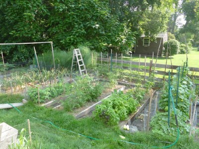 the main part of the garden on July 16