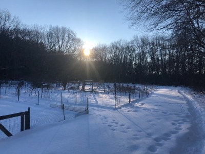 the sun rising over the snow-covered community gardens