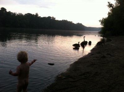 Lijah in the water pointing at geese