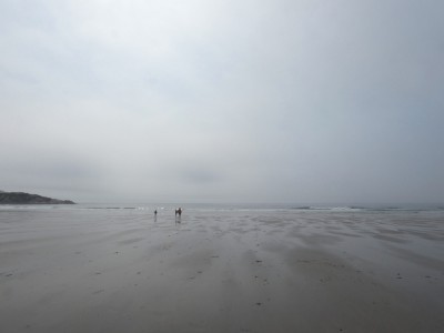 the boys walking towards the ocean on the misty beach