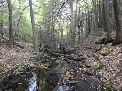 the boys exploring a stream in a broad gorge