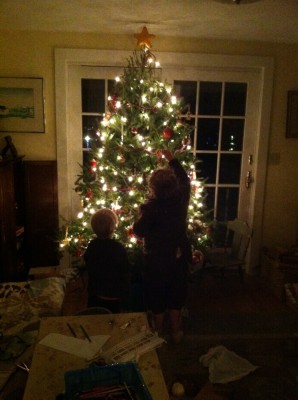 Harvey and Zion putting ornaments on the tree, illuminated by the lights