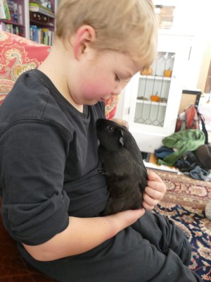 Zion cuddling with a friend's guinea pig
