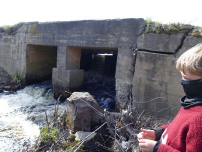Elijah looking at the water flowing through a dam