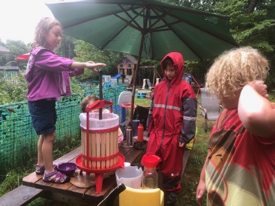 kids pressing grapes in the rain