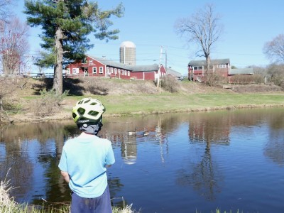Elijah looking across the pond at Great Brook Farm