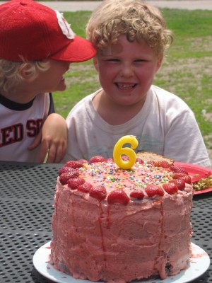 Harvey and Ollie behind the strawberry birthday cake