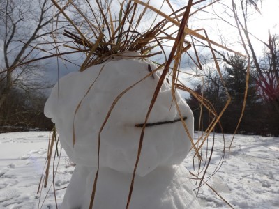 a snowman with marsh grass hair
