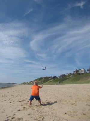Harvey flying a kite on the beach