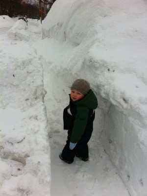 Harvey on the sidewalk between two walls of snow