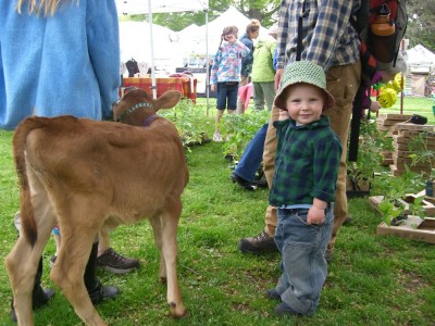 Harvey standing next to a calf