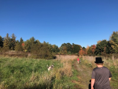 Harvey (in a top hat), Elijah, and the dogs walking under a bright blue sky