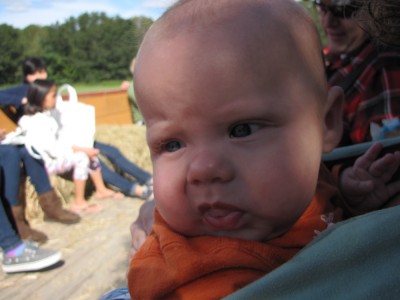 Zion looking nonplussed by the hayride