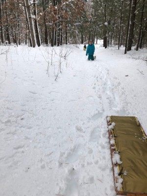 on the trail pulling sleds through the woods