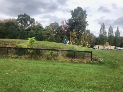 Elijah and a friend playing on a hillside