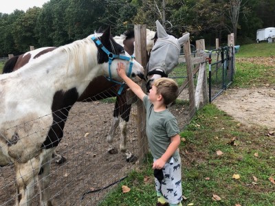 Elijah petting a couple of horses over a fence